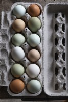 Karton mit Eiern verschiedener Farben und Arten - Detail